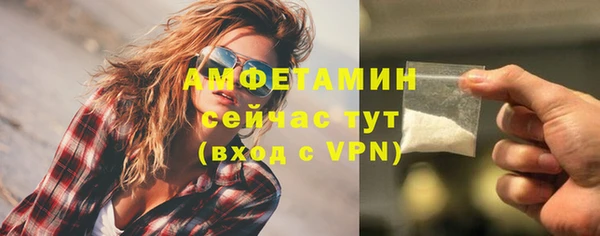 МДПВ Шали