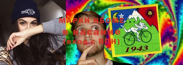 МДПВ Шали