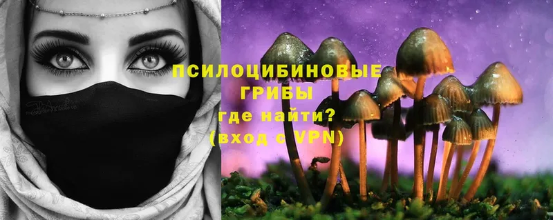 Псилоцибиновые грибы Cubensis  МЕГА   Салават  даркнет сайт 