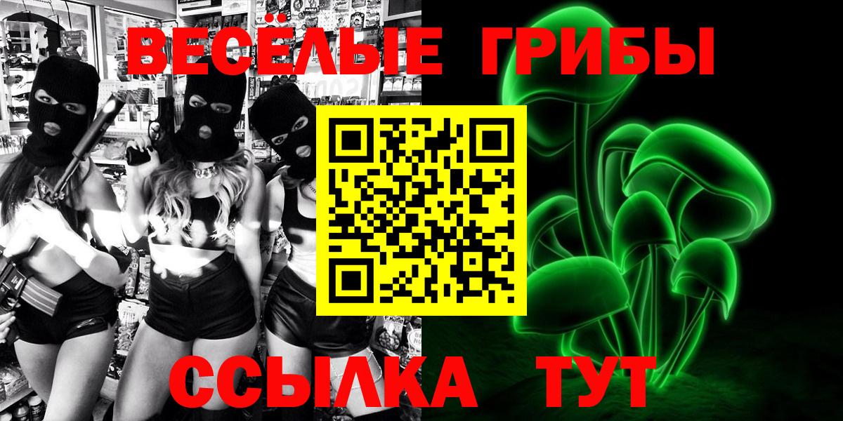 Галлюциногенные грибы прущие грибы  Вход с VPN  Галлюциногенные грибы Psilocybine cubensis  Салават 