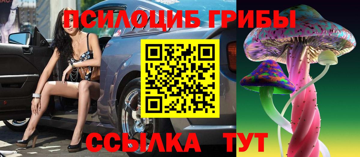 Псилоцибиновые грибы мицелий Салават