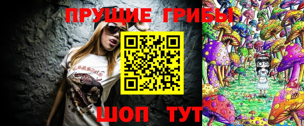 Галлюциногенные грибы Psilocybe  Салават 